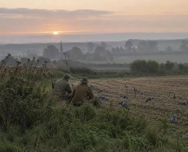 Hunting UK in the field Sportsmen crouched at a British field edge beside decoy pigeons